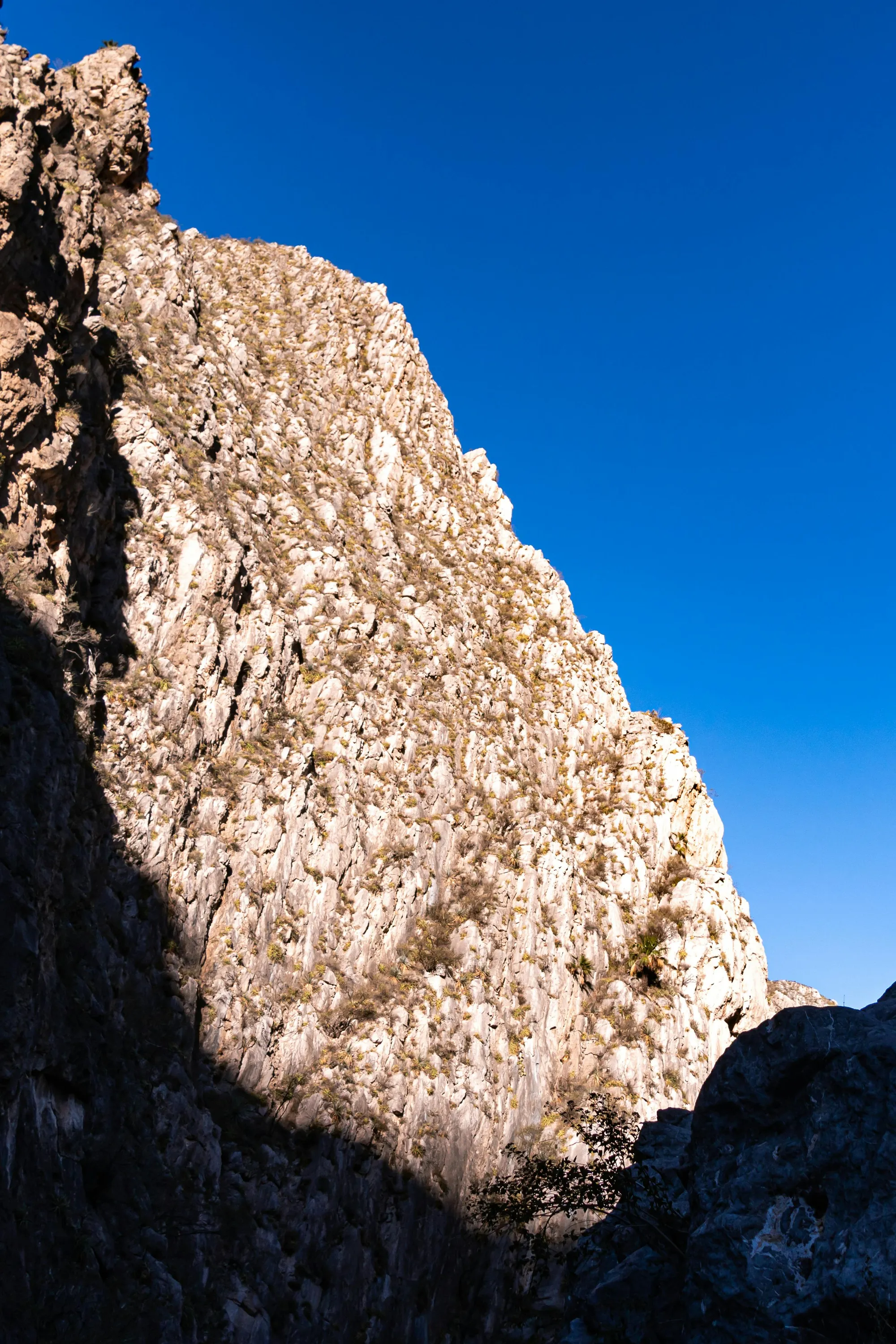 Legal Services - Ávila Lozano Garza Abogados