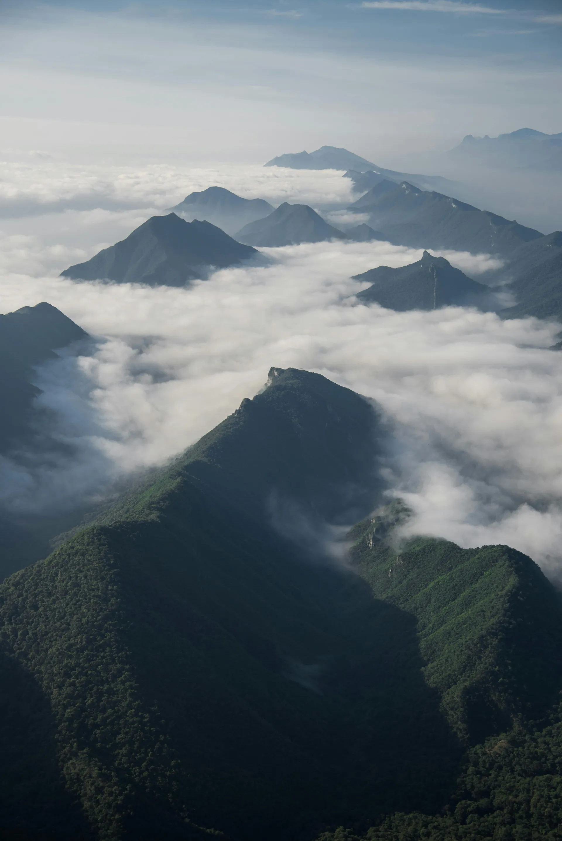 Firma legal profesional imagen 2